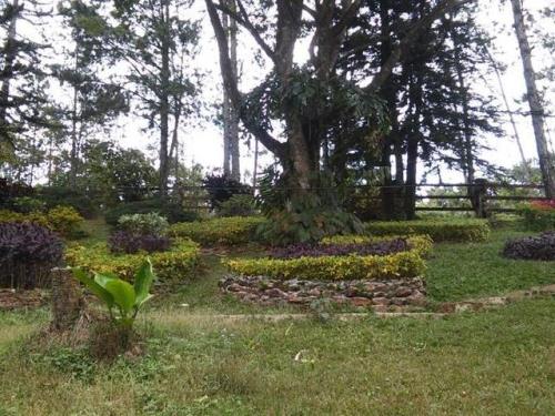 Altos de Cerro Azul, Panamá