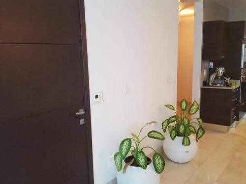 Grand Tower, apartment