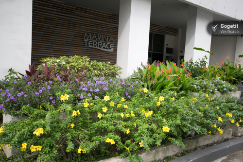 Marina Terrace, Área Metropolitana