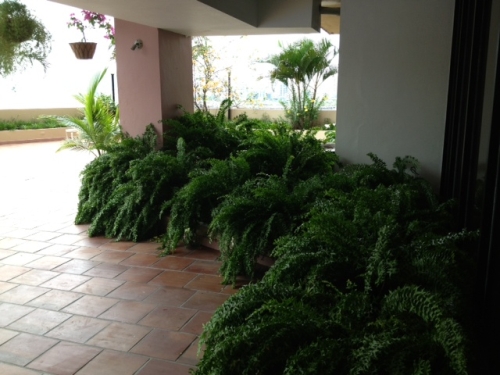 Posada del Rey , Apartamento en alquiler en Punta Paitilla | Posada del Rey  -  P2806139