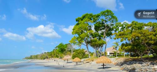 Cocoli Tower - Bijao, Apartamento en venta en Rio Hato | Cocoli Tower - Bijao -  P57554