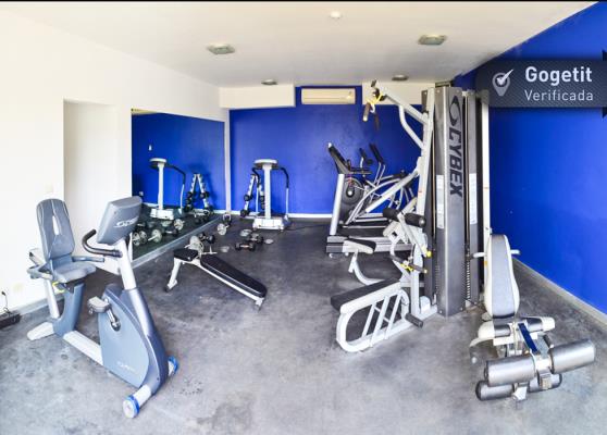 Eagle landing - Tucan, Arraijan