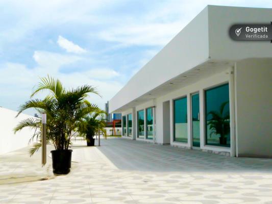 Green Point, Área Metropolitana