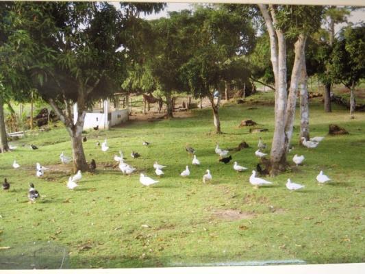 , Casa en venta en Santa Rita | P57652