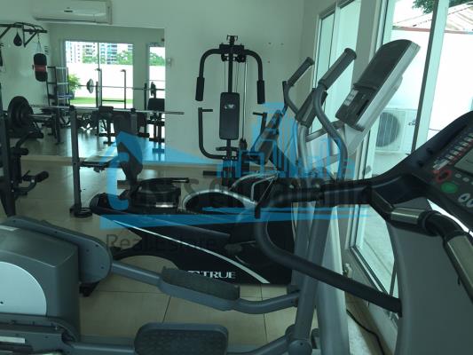 Green Point, Parque Lefevre