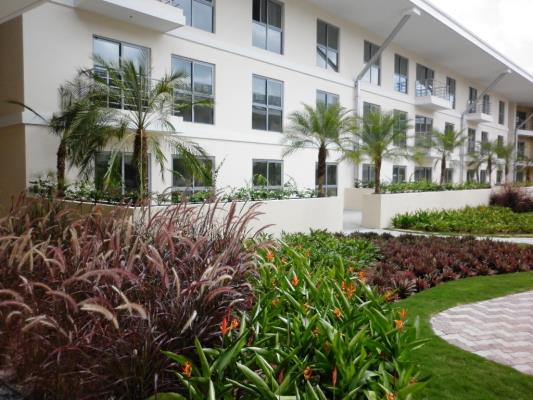 Soleo, Panamá Pacifico