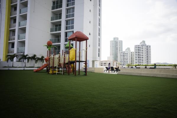 Rokas, Amelia Denis De Icaza