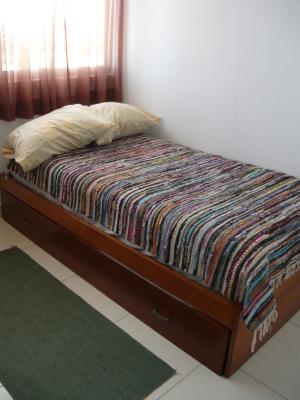 Central Park, Metropolitan Area