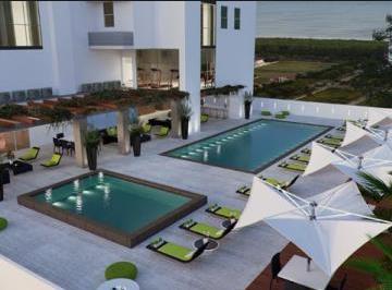 Matisse, Metropolitan Area