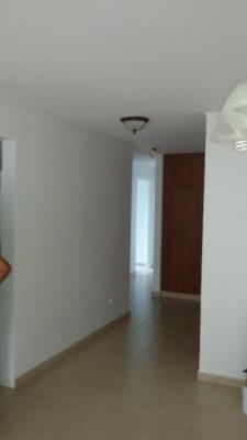 Andros Tower, Área Metropolitana