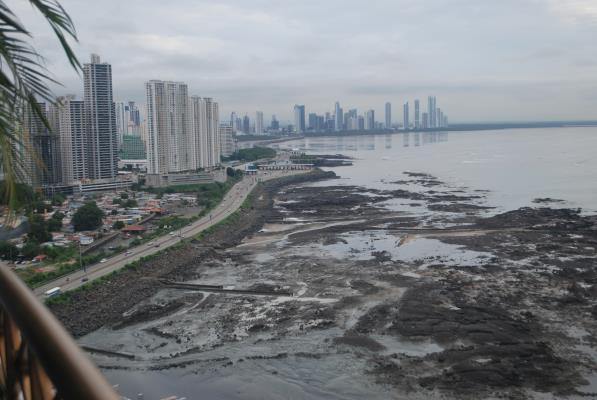 Pacific Point Torre 300, Apartamento en venta en Punta Pacifica | Pacific Point Torre 300 -  P219828