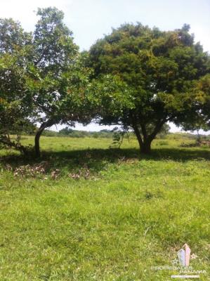 , Lot / Land for sell in Anton | P123774