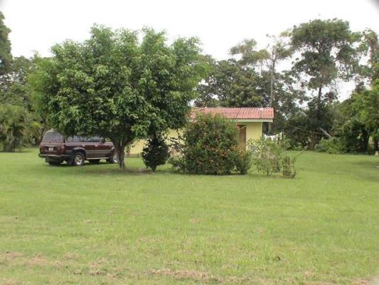 , Lot / Land for rent in Las Lajas | P127624