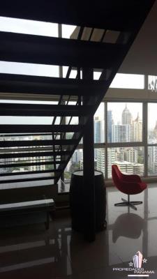 Vitro Loft, El Cangrejo