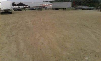 , Lot / Land for rent in Betania | P141512