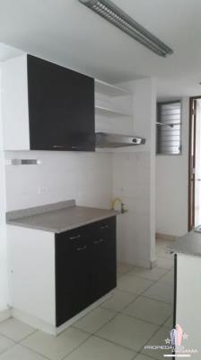 Central Park, Metropolitan Area