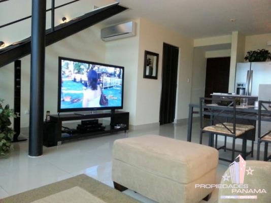 Vitro Loft, El Cangrejo