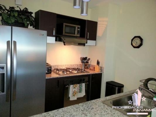 Vitro Loft, Metropolitan Area