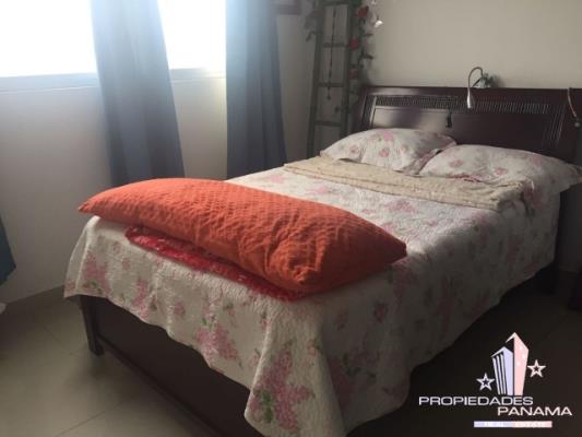 Centennial, Metropolitan Area