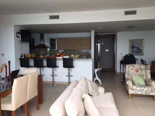 Dupont, Punta Pacifica