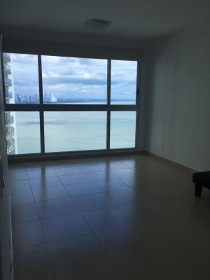 Oasis on the Bay, Metropolitan Area