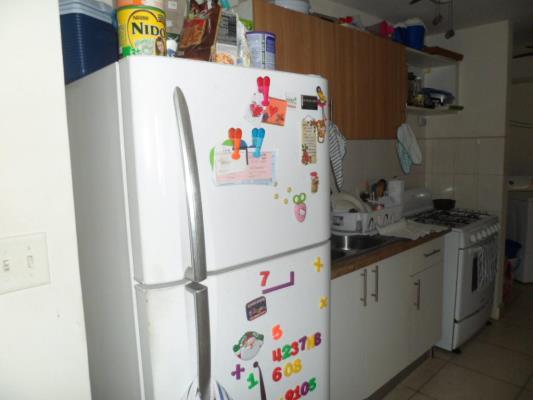 Splendor by the Park, Parque Lefevre