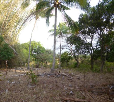 , Lot / Land for sell in Cocle | P181391