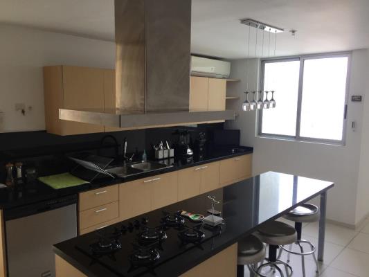 Altamar del Este, Costa del Este