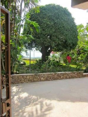 , House for rent in Betania | P221326