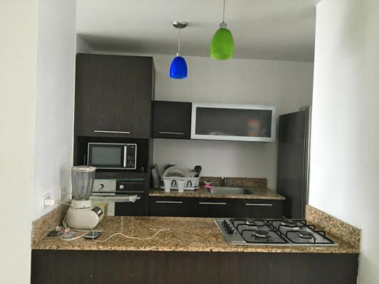 Costa del Este Pijao, Área Metropolitana