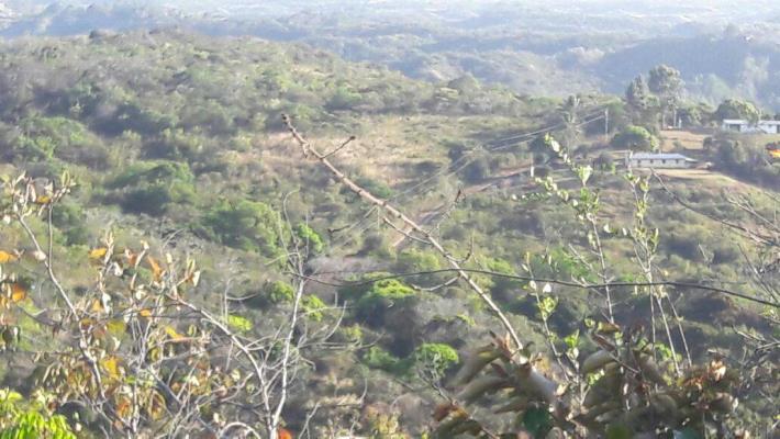 , Terreno en venta en Las Lajas | P242046