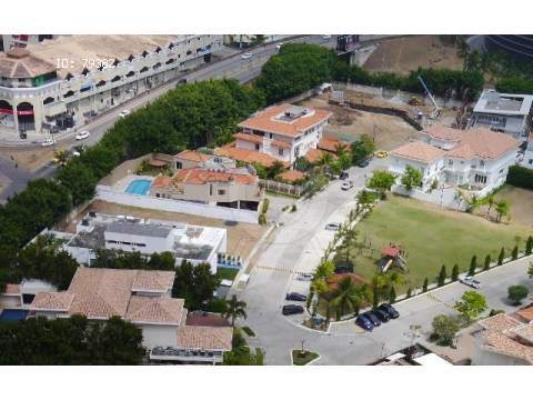 Gold point , Área Metropolitana