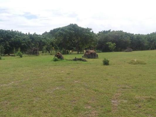 , Terreno en venta en Nueva Gorgona | P243663