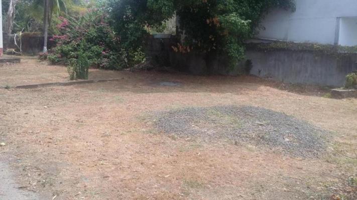 , Lot / Land for sell in Parque Lefevre | P247639
