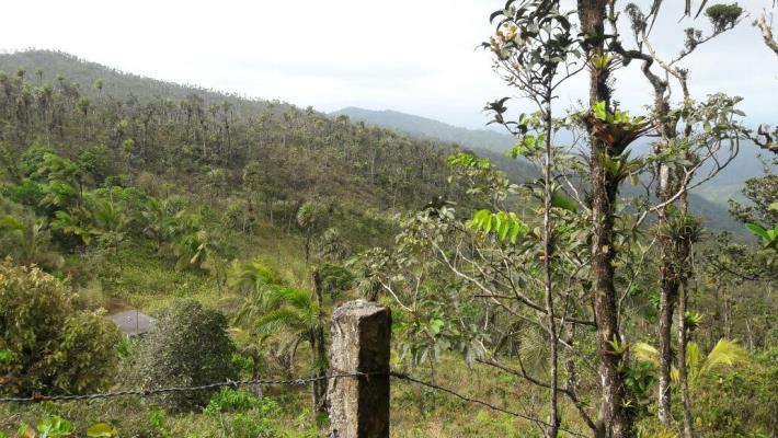 , Terreno en venta en Pacora | P251916