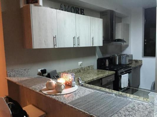 Harmony, San Francisco