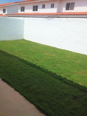 Quintas de Versalles, Casa en alquiler en Juan Diaz | Quintas de Versalles -  P273175