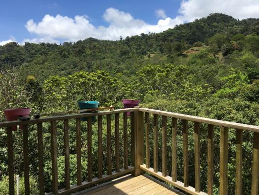 , House for sell in Chame | P275135