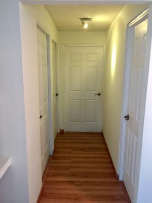 Splendor by the Park, Parque Lefevre