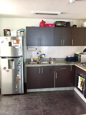 Splendor by the Park, Parque Lefevre