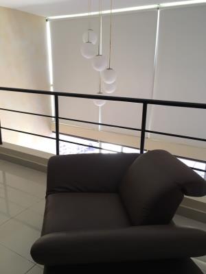 Vitro Loft, El Cangrejo