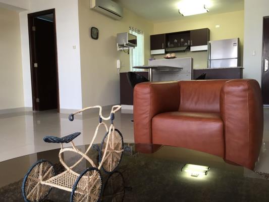 Vitro Loft, El Cangrejo