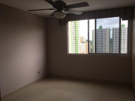 Rokas, Amelia Denis De Icaza