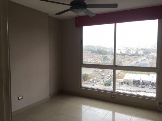 Rokas, Amelia Denis De Icaza