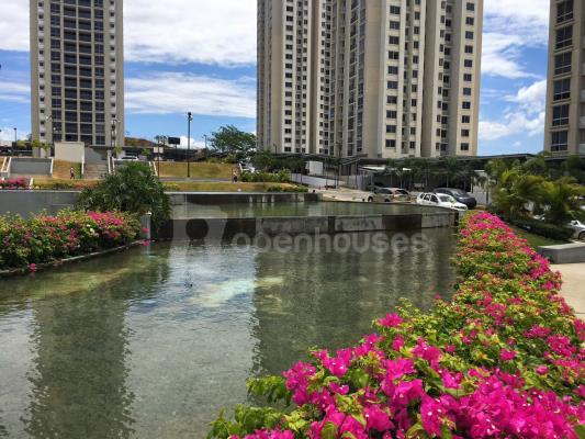 Rokas, Amelia Denis De Icaza