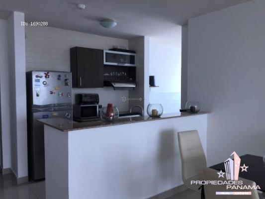 Pacific Sun, Área Metropolitana