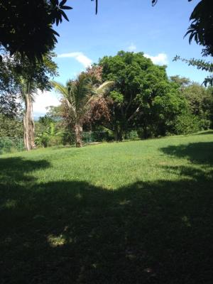 , Lot / Land for rent in Las Lajas | P284984