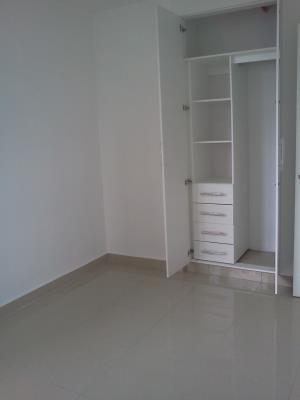 San Francisco Bay, Metropolitan Area