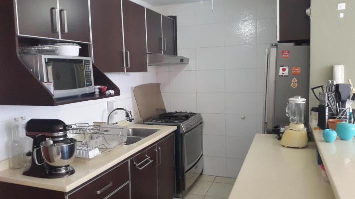 Central Park, Área Metropolitana