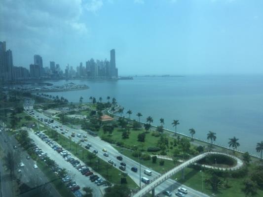 H2O on the ocean, Área Metropolitana